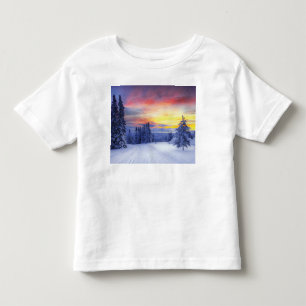 Winter scenery toddler t-shirt