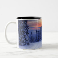 Winter scenery