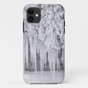winter-scenes-106 iPhone 11 case