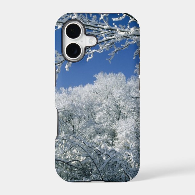 winter-scenes-48 (Back)