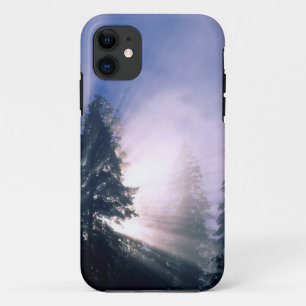 winter-scenes-59 iPhone 11 case