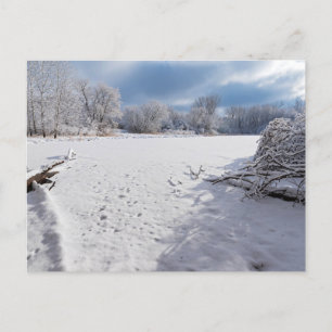 winter scenic along pond and forests of salem hill postcard