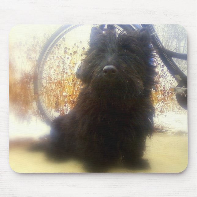 Winter Scottish Terrier Mouse Pad (Front)