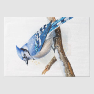 Winter Season Blue Jay Bird Tissue Paper
