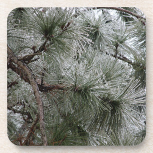 Winter Season Coaster