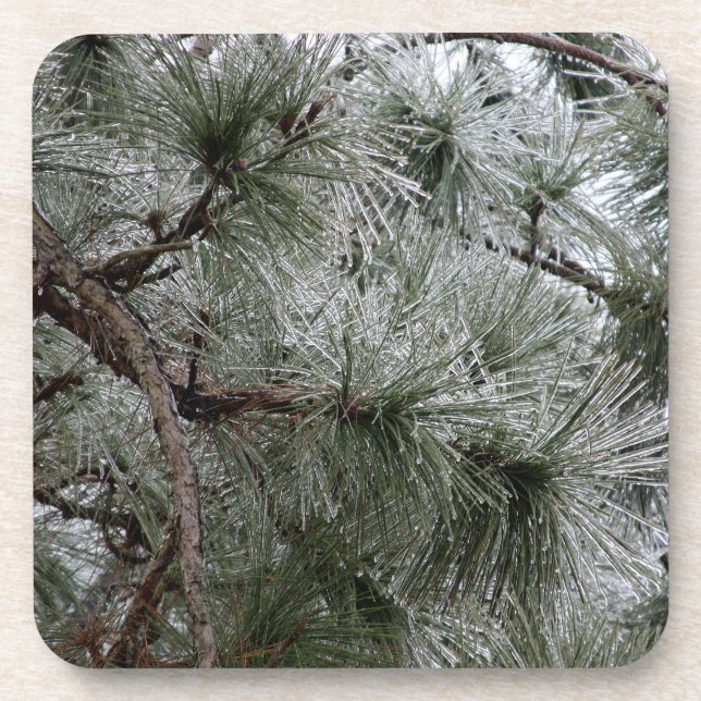 Winter Season Coaster (Front)