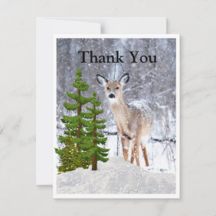 Winter Season with Deer and Snow Thank You Card
