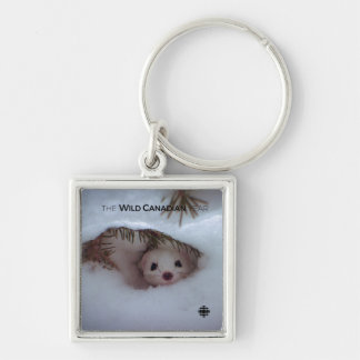 Winter - Short-Tailed Weasel Keychain
