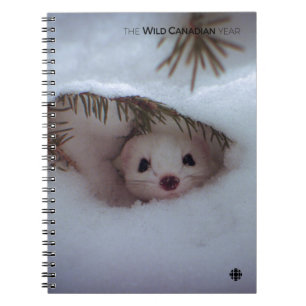 Winter - Short-Tailed Weasel Notebook