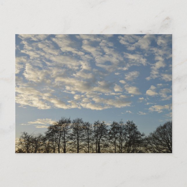 Winter Sky Postcard (Front)