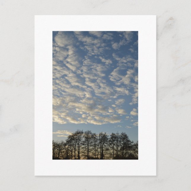 Winter Sky Postcard (Front)