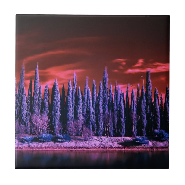 winter sky purple tile (Front)