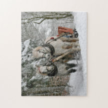 Winter Sleigh Ride Horses Christmas Holiday