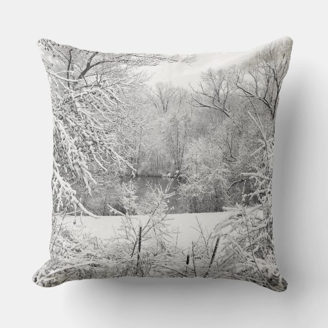 Winter Snow At Huron River Throw Pillow (Front)
