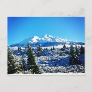 Winter Snow at Mount Shasta, CA Postcard