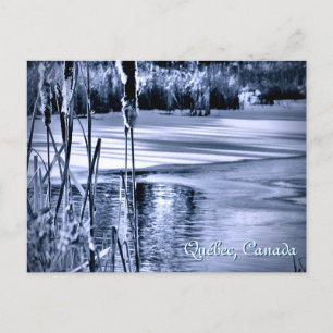 Winter Snow Blue Ice Water Ripples Cattails Postcard