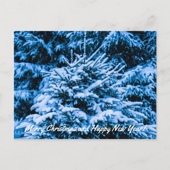 Winter Snow Christmas Tree Holiday Postcard (Front)
