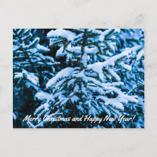 Winter Snow Christmas Tree Holiday Postcard