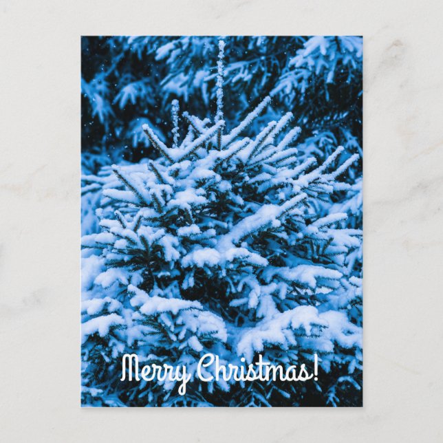 Winter Snow Christmas Tree Holiday Postcard (Front)