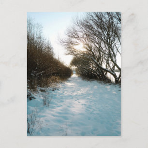 Winter Snow Covered English Countryside Path Postcard