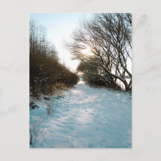 Winter Snow Covered English Countryside Path Postcard (Front)