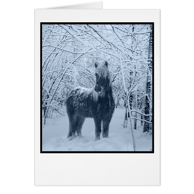 Winter snow horse (Front)