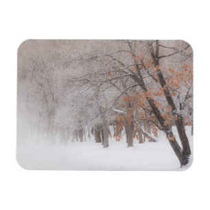 Winter Snow   Lake Kussharo Magnet