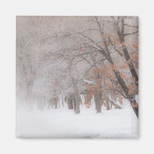 Winter Snow   Lake Kussharo Magnet