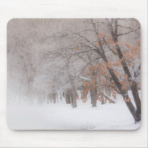 Winter Snow Lake Kussharo Mouse Pad