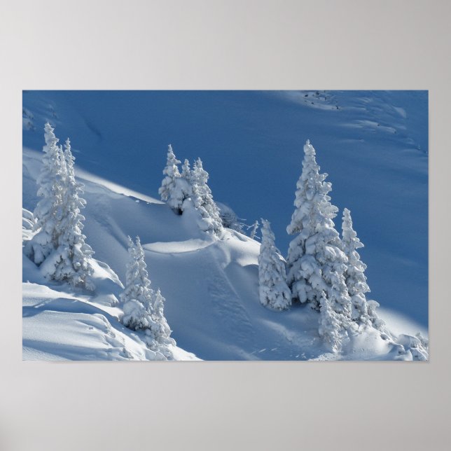 winter snow landscape poster (Front)