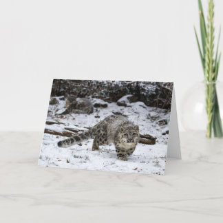 Winter Snow Leopard Cub Holiday Card