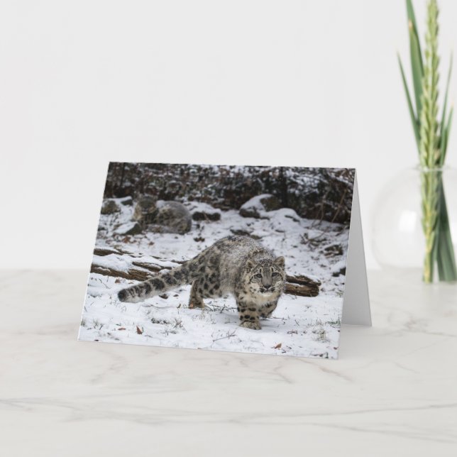 Winter Snow Leopard Cub Holiday Card (Front)