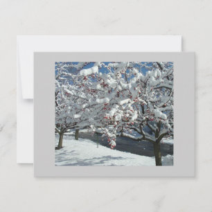 Winter Snow Let it Snow Holiday Card