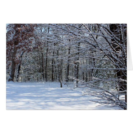Winter Snow Notecard