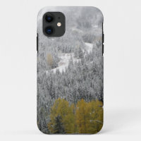 Winter Snow Scene