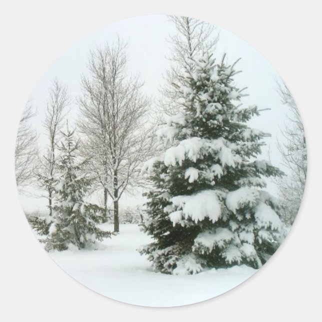 Winter Snow Scene Classic Round Sticker (Front)