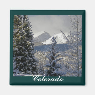 Winter Snow Scene,Colorado Magnet