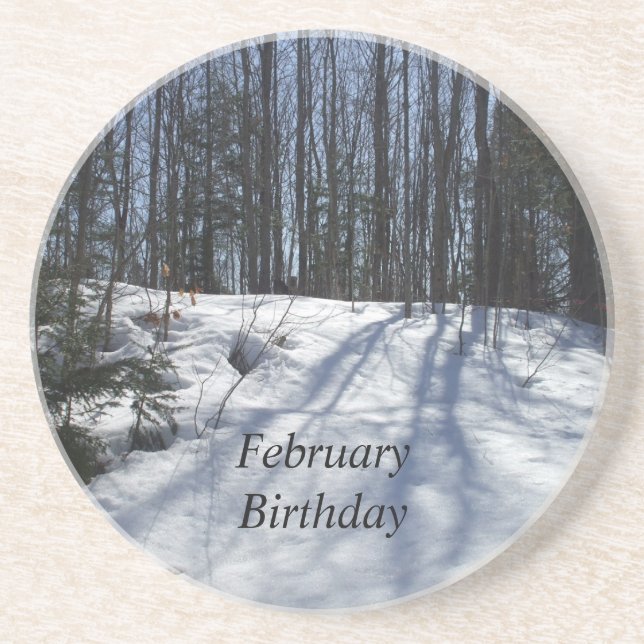 Winter Snow Scene-February Birthday Coaster (Front)