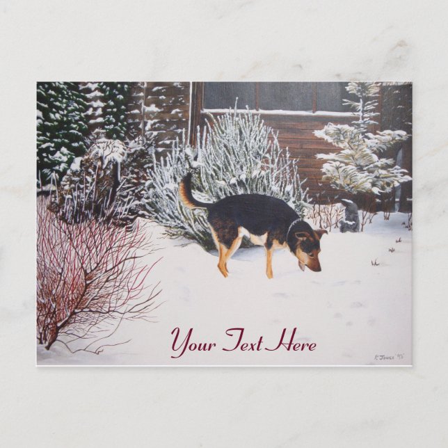 Winter snow scene with cute black and tan dog postcard (Front)