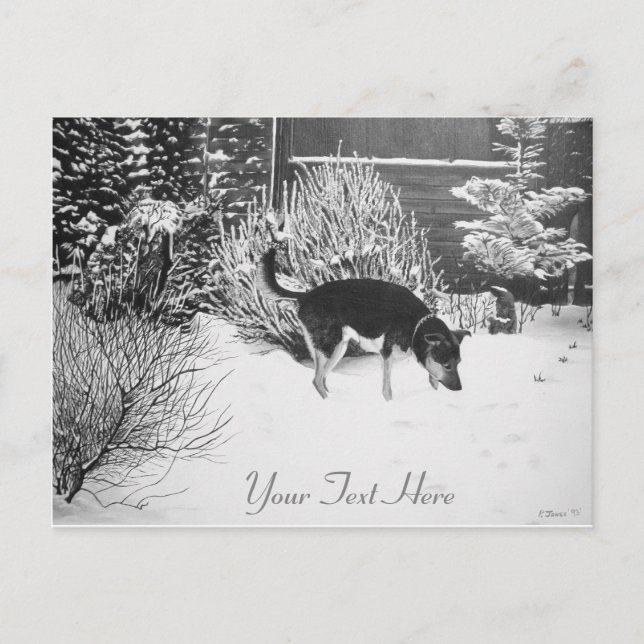 Winter snow scene with cute black and tan dog postcard (Front)