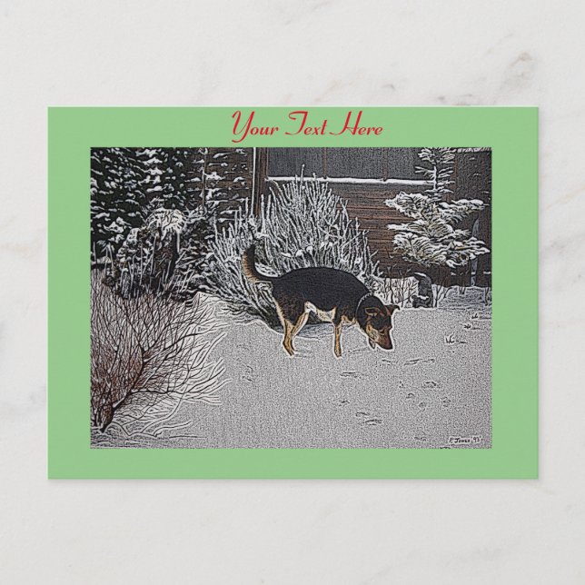 Winter snow scene with cute black and tan dog postcard (Front)