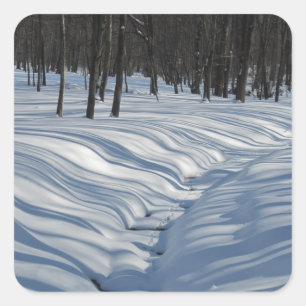 Winter Snow Shadows Sticker