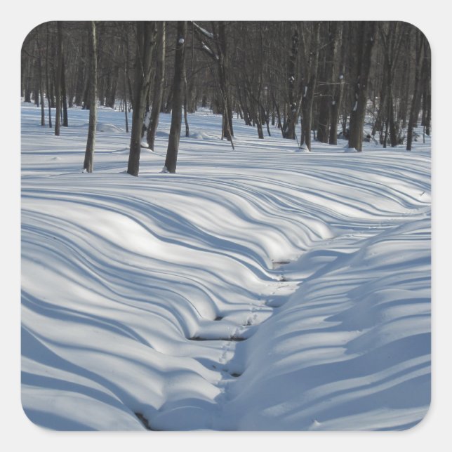 Winter Snow Shadows Sticker (Front)