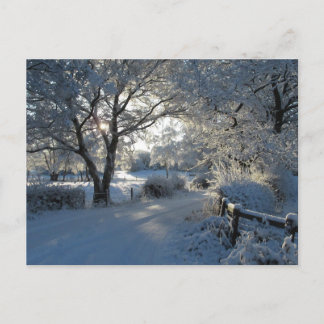 Winter Snowfall Postcard