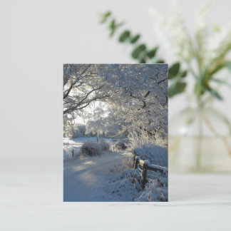 Winter Snowfall Postcard
