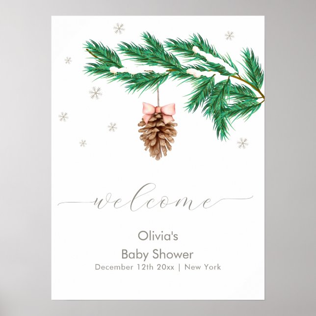 Winter Snowflake Pine cone Baby Shower Welcome Poster (Front)
