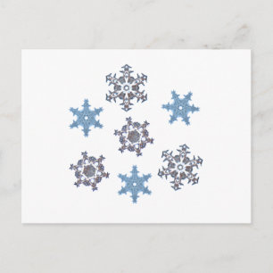 Winter snowflakes postcard