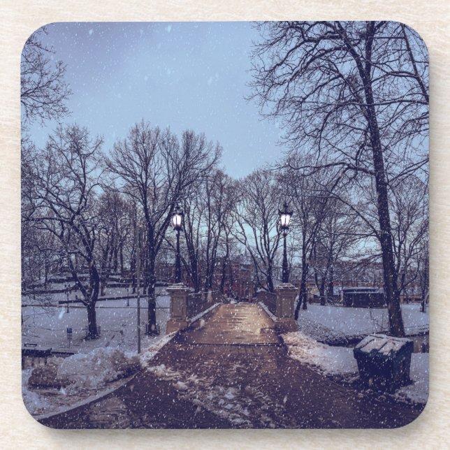 Winter snowy city park in the evening coaster (Front)