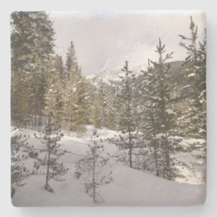 Winter Snowy Mountain Scene in Montana Stone Coaster