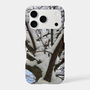 Winter Snowy Tree Crown Photo -